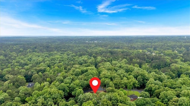 drone / aerial view of a forest
