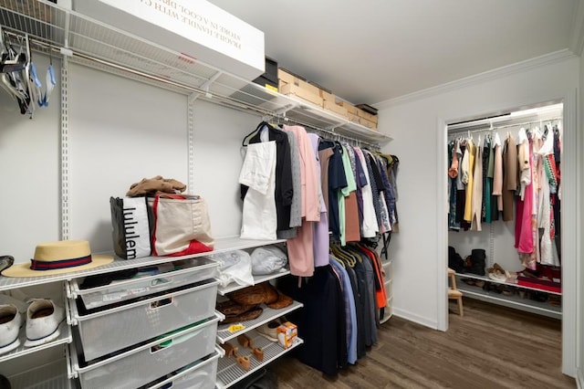 3142 Chamblee Gap Rd, Cumming, GA 30040 - walk in closet featuring wood finished floors