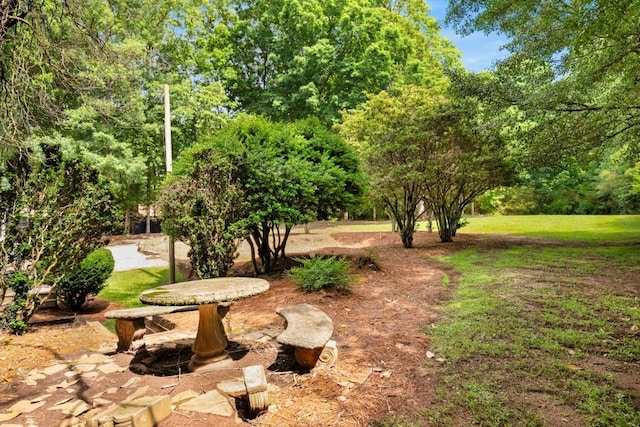 3142 Chamblee Gap Rd, Cumming, GA 30040 - view of yard