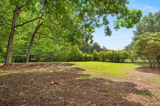 3142 Chamblee Gap Rd, Cumming, GA 30040 - view of yard with a view of trees