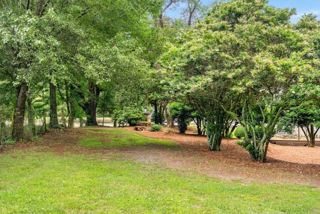 3142 Chamblee Gap Rd, Cumming, GA 30040 - view of yard