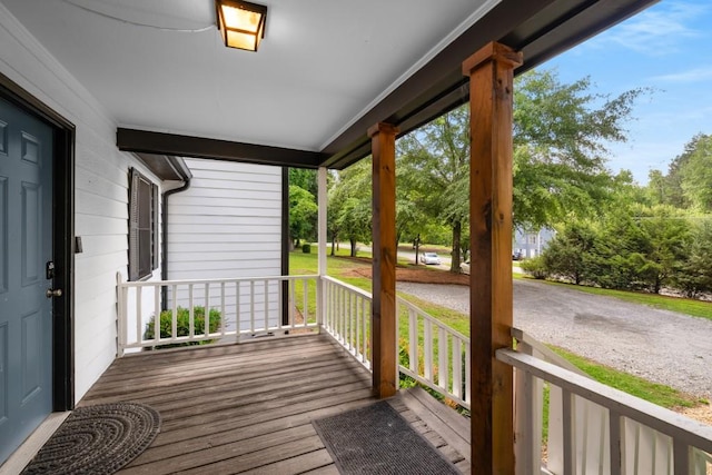 3142 Chamblee Gap Rd, Cumming, GA 30040 - view of porch