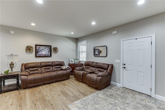 living room featuring light hardwood / wood-style flooring