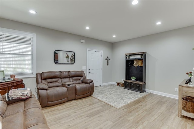 living room featuring light wood-type flooring