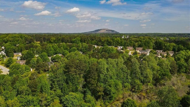 view of mountain feature featuring a wooded view
