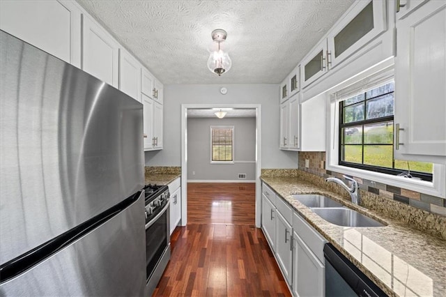 kitchen featuring glass insert cabinets, a healthy amount of sunlight, stainless steel appliances, and a sink