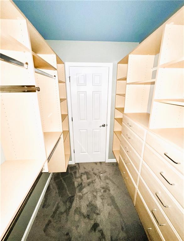 spacious closet featuring dark carpet