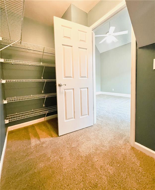 carpeted empty room with a raised ceiling