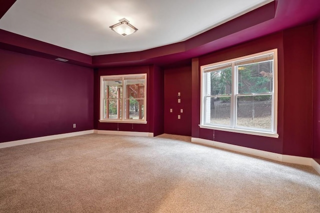 spare room featuring a raised ceiling and carpet flooring