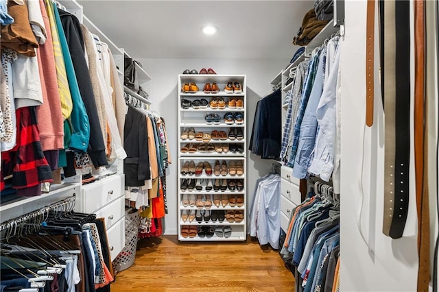 walk in closet featuring wood finished floors