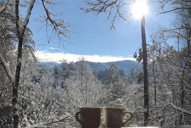 property view of mountains