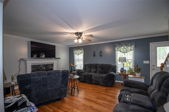 10 Stagg Trce, Social Circle, GA 30025 - living room featuring a ceiling fan, wood finished floors, a fireplace, healthy amount of natural light, and crown molding