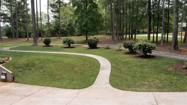 10 Stagg Trce, Social Circle, GA 30025 - view of property's community featuring a lawn