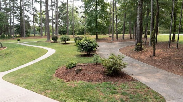 10 Stagg Trce, Social Circle, GA 30025 - view of home's community with driveway, a lawn, and view of scattered trees