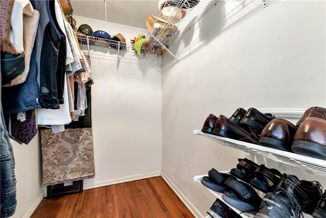 walk in closet featuring hardwood / wood-style flooring