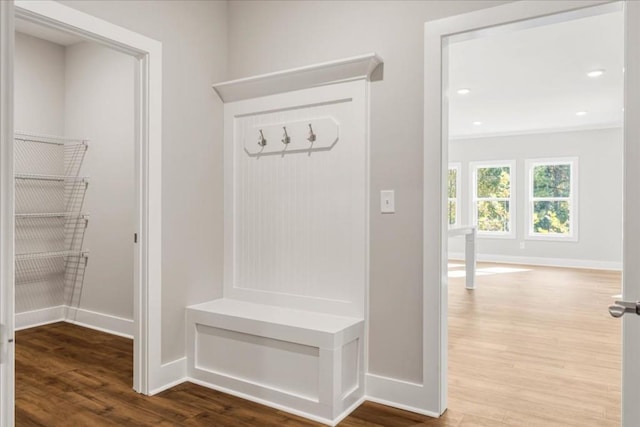 mudroom featuring wood-type flooring