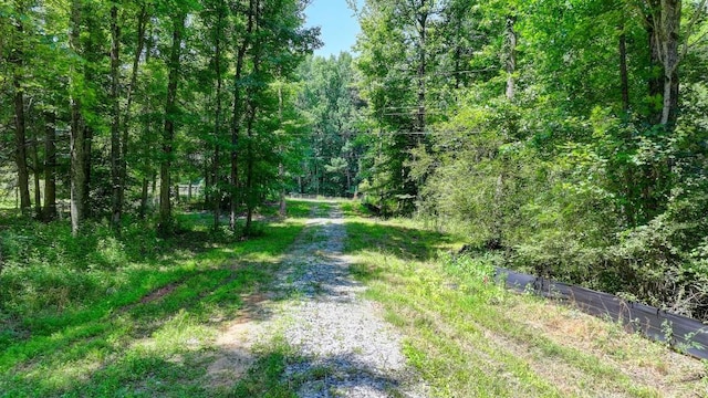 250 Trinity Church Rd, Canton, GA 30115