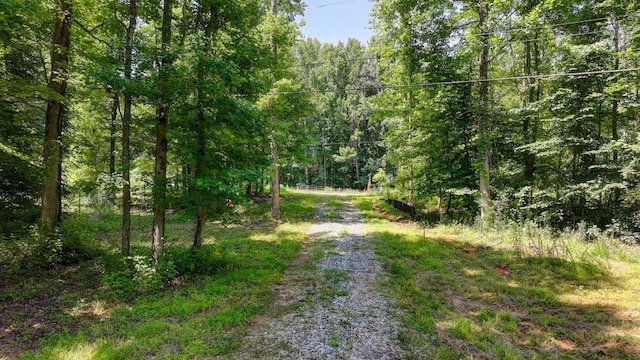 250 Trinity Church Rd, Canton, GA 30115