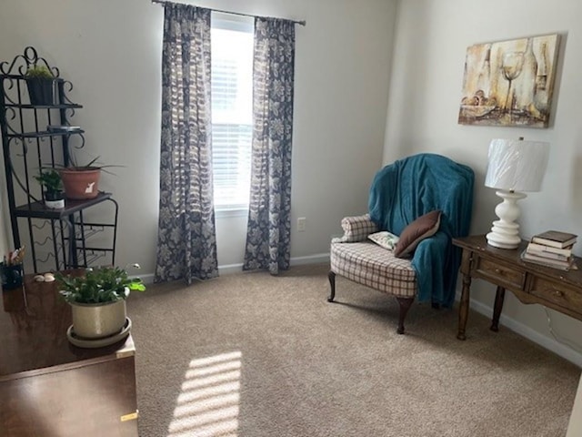 living area featuring baseboards and carpet flooring