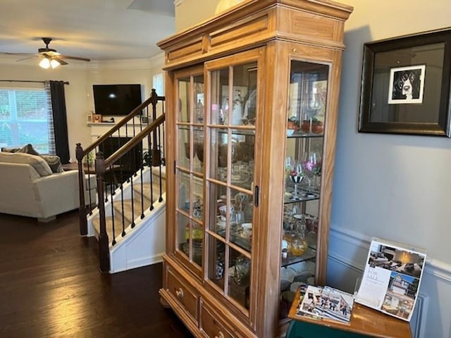 interior space featuring stairs, ceiling fan, dark wood-style flooring, and crown molding