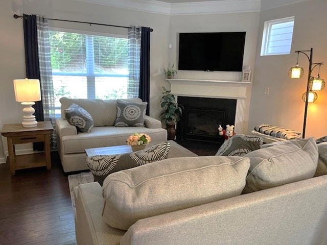 living area with wood finished floors, a glass covered fireplace, and crown molding