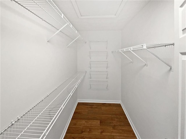 3968 Oak Glenn Dr, Duluth, GA 30096 - spacious closet featuring wood finished floors and attic access
