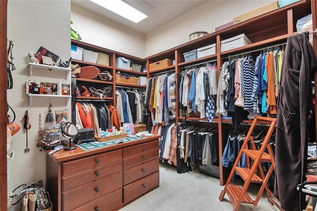 spacious closet featuring carpet