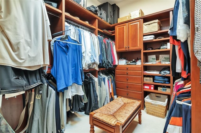 view of spacious closet