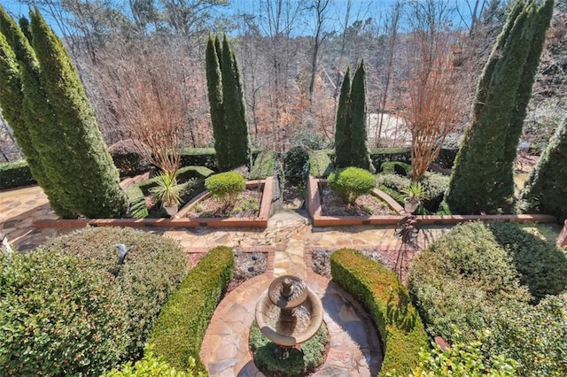 surrounding community featuring a vegetable garden