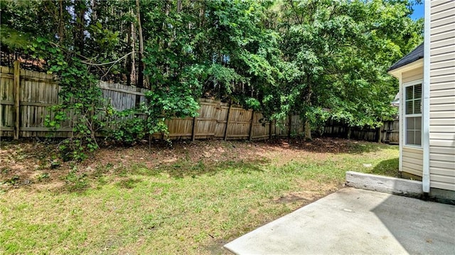 3881 Micah Ln, Ellenwood, GA 30294 - view of yard with a patio area