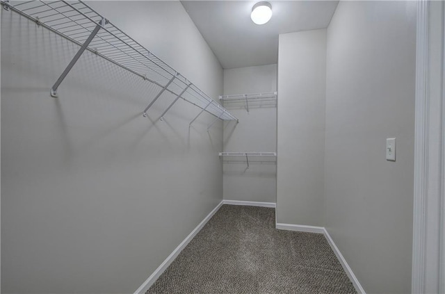 spacious closet featuring carpet floors