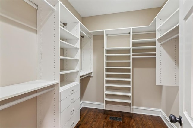 walk in closet with dark wood finished floors