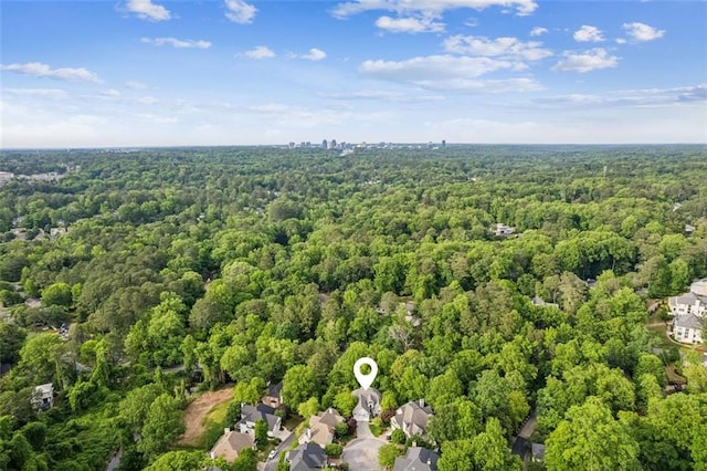 drone / aerial view of a forest