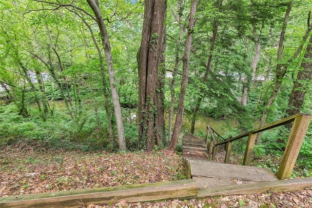 view of yard with a view of trees