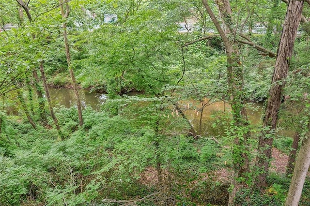 view of wooded area