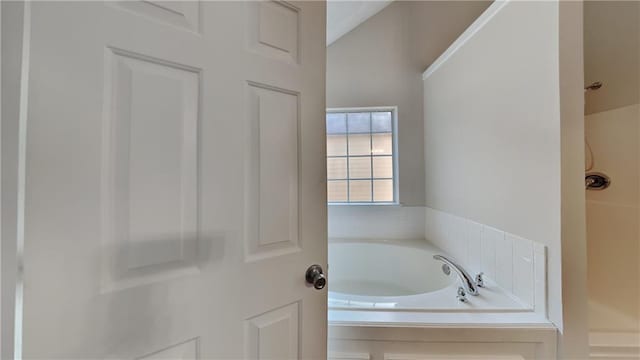 514 Jadetree Ln, Atlanta, GA 30349 - full bathroom with a garden tub, a shower, and vaulted ceiling