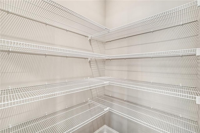 242 Aspen Way, Dallas, GA 30157 - view of pantry
