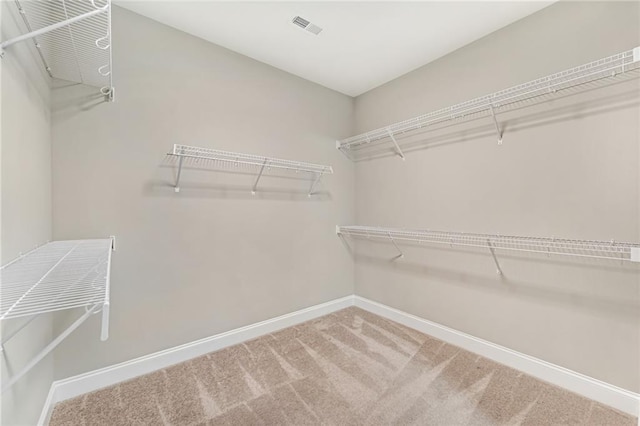 242 Aspen Way, Dallas, GA 30157 - walk in closet with carpet floors