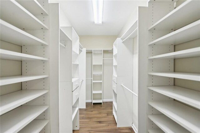 walk in closet featuring wood finished floors