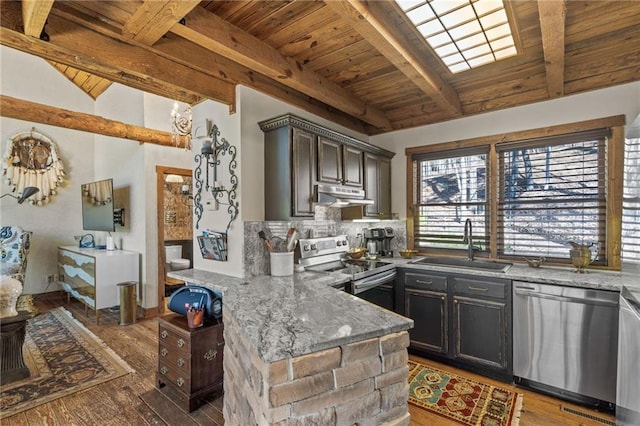 kitchen featuring wood finished floors, a peninsula, a sink, stainless steel appliances, and under cabinet range hood