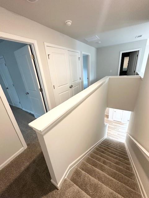 staircase with baseboards