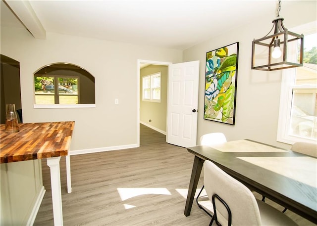 dining room featuring hardwood / wood-style flooring and plenty of natural light