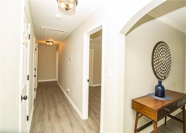 hallway featuring light wood-type flooring