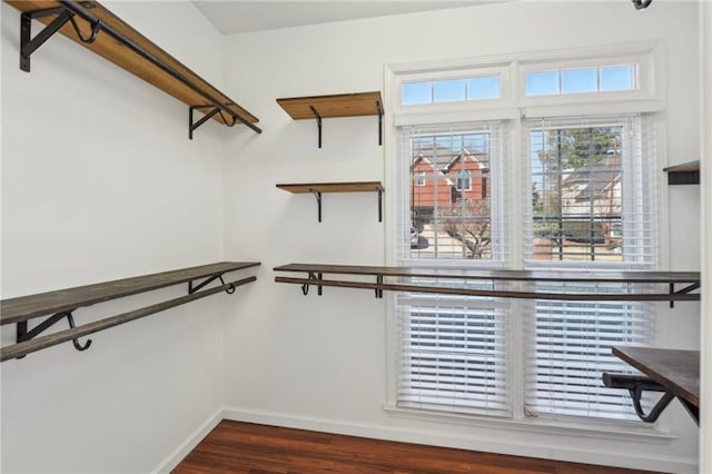 walk in closet featuring dark wood finished floors