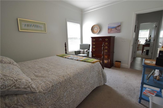 bedroom featuring carpet and ornamental molding