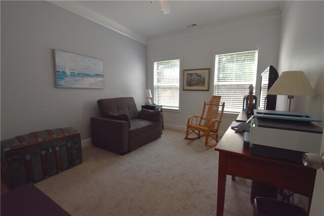 office featuring light colored carpet and ornamental molding