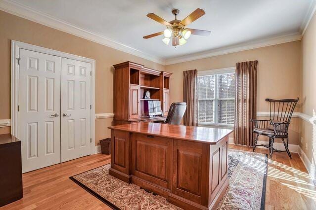 office featuring ceiling fan, crown molding, and light hardwood / wood-style flooring