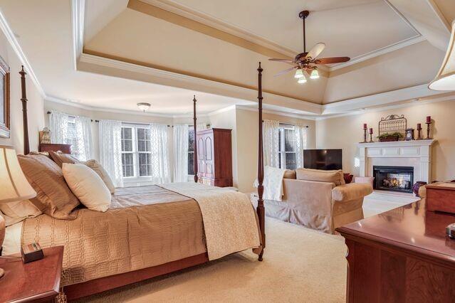 bedroom with a tray ceiling, ceiling fan, carpet, and ornamental molding