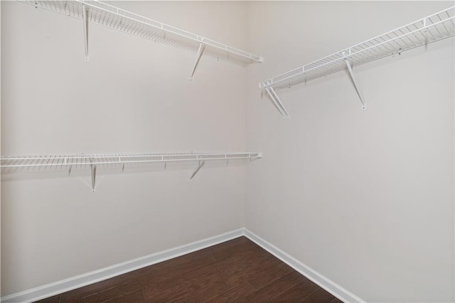 spacious closet featuring hardwood / wood-style flooring