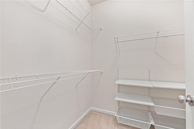 walk in closet with light carpet